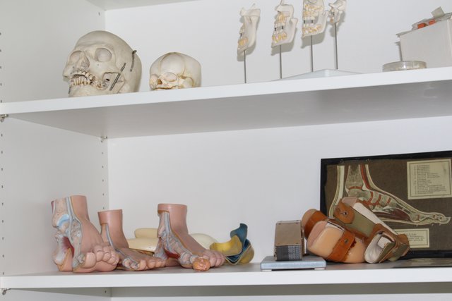 Anschauungsobjekte für die Schülerinnen und Schüler mit dem Profil "Gesundheit".