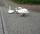 Eine Schwanenfamilie fühlte sich durch Mäharbeiten an der Alb gestört und wanderte kurzerhand aus. | Foto: Polizeipräsidium Karlsruhe