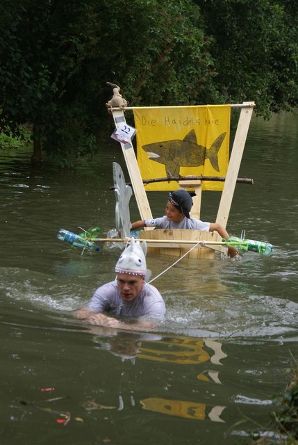 Haie in der Saalbach gesichtet!