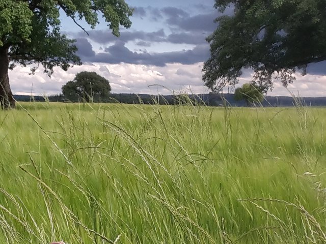 Wolken über dem Kraichgau