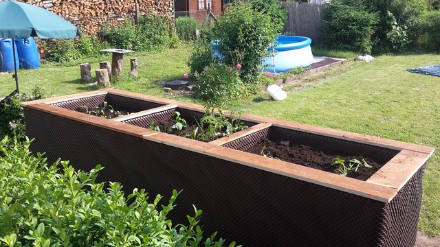 Ein Hochbeet ist die Zierde im Garten unserer Leserreporterin Claudia Schwarzenbrunner. | Foto: Claudia Schwarzenbrunner