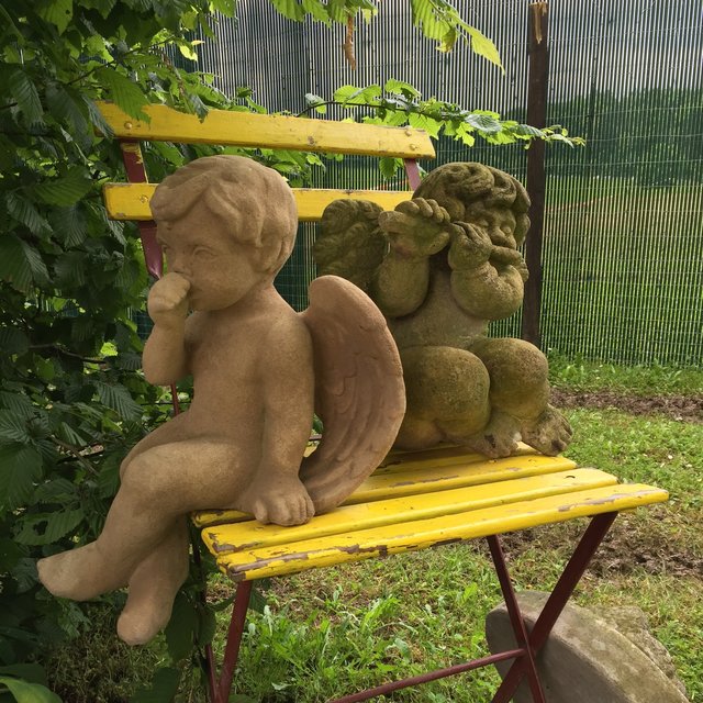 "Stille Begleiter" nennt Leserreporterin Katharina Harth ihr Bild aus dem Garten. | Foto: Katharina Harth