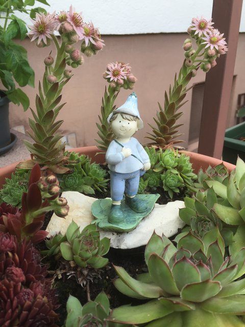 Der Hobbitgarten unserer Leserin Marlies Pleus-Harth. | Foto: Marlies Pleus-Harth