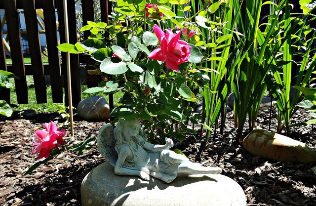 Der Elfenruheplatz. Das Bild stammt ebenfalls von unserer Leserreporterin Marlies Pleus-Harth. | Foto: Marlies Pleus-Harth