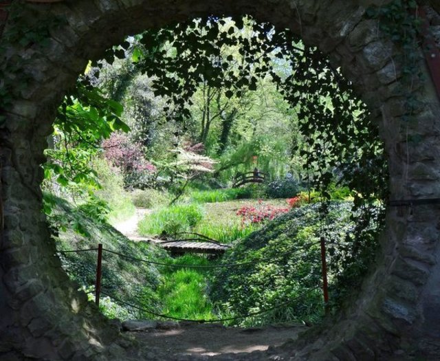 Spannender und ungewöhnlicher Blick auf eine Gartenlandschaft in Zaisenhausen. Fotografiert von unserer Leserreporterin Gaby Dauth. | Foto: Gaby Dauth