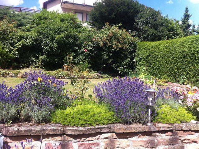 Ein Gartenparadies unserer Leserreporterin Angela Loriaux. | Foto: Angela Loriaux