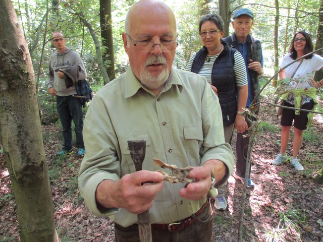 Beckenknochen von einem Nagetier, am Fuchsbau entdeckt.