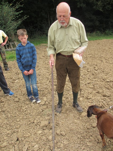 Pfitzenmeier demonstriert, wie früher mit dem Diestelstecher das Unkraut auf den Feldern bekämpft wurde.