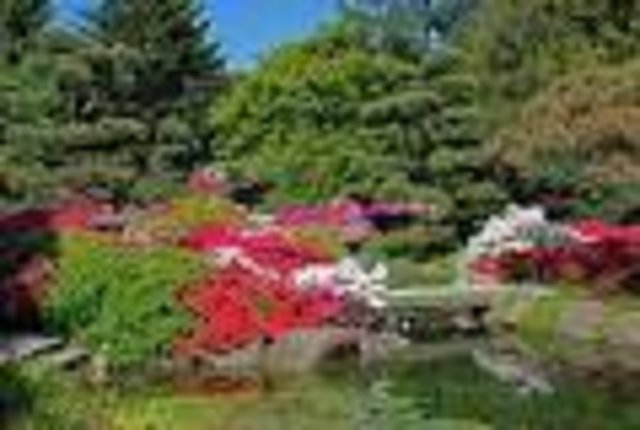 Foto: Marlies Stockmann