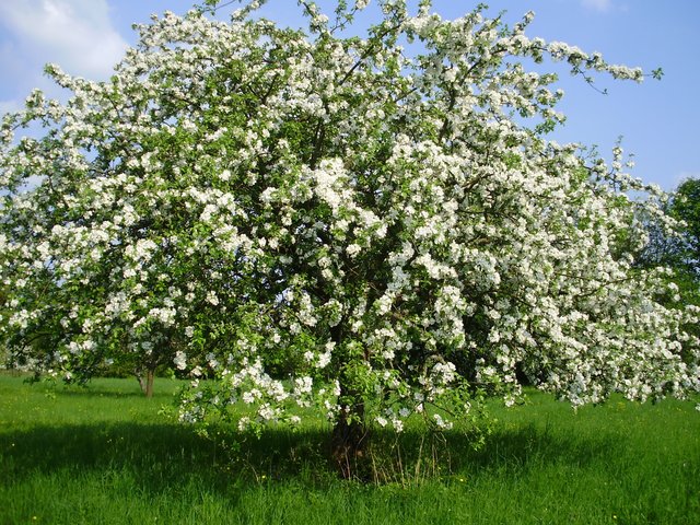 Foto: Isabell Janotta