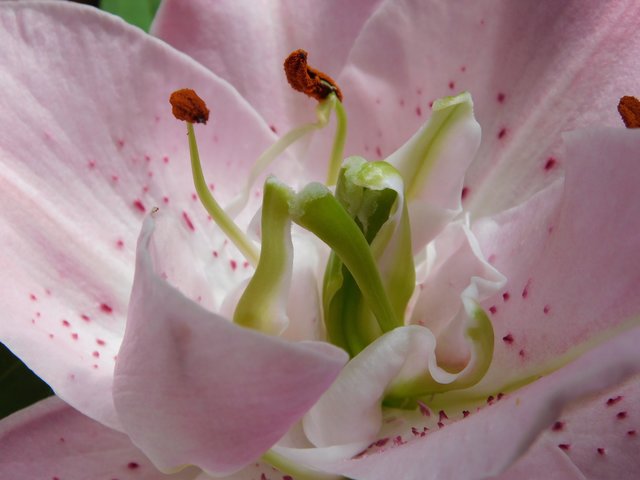 Foto: Isabell Janotta