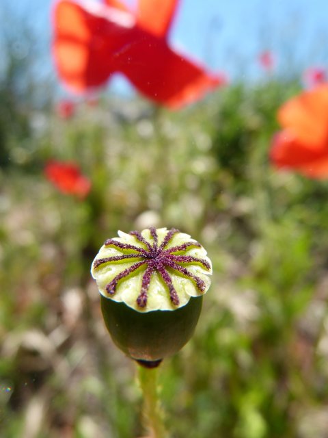 Foto: Theresa Sailer