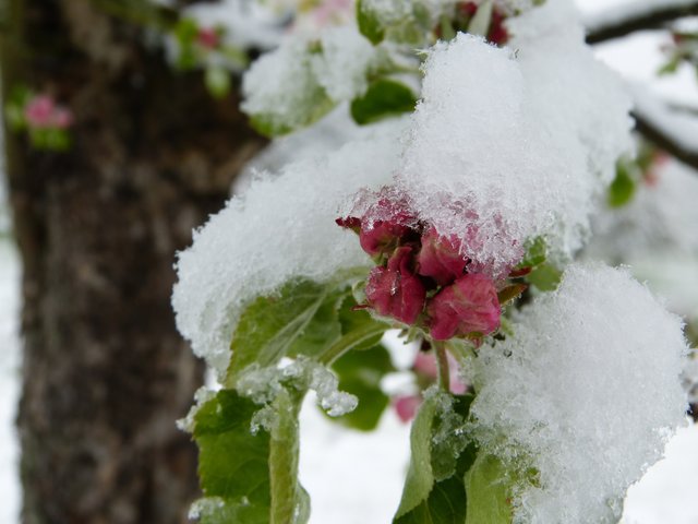 Foto: Theresa Sailer