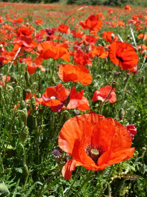 Foto: Theresa Sailer