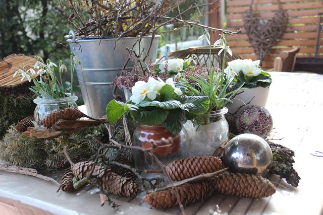 Foto: Theresa Sailer