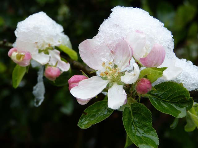 Foto: Theresa Sailer