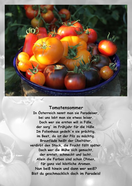 Foto: Thomas Peschel