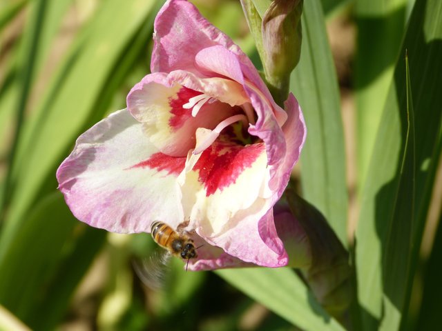 Foto: Theresa Sailer