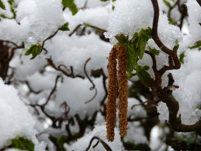 Foto: Theresa Sailer