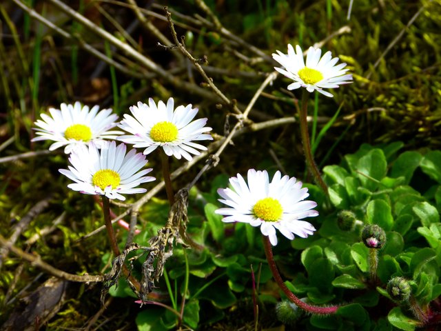 Foto: Theresa Sailer