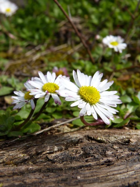 Foto: Theresa Sailer