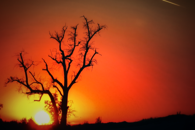 Foto: Joachim Schuster