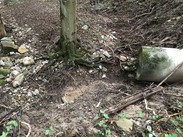 Die von Treut als "hinterspült und ausgerissen" kritisierten Rohre im "Großen Wald". | Foto: Treut