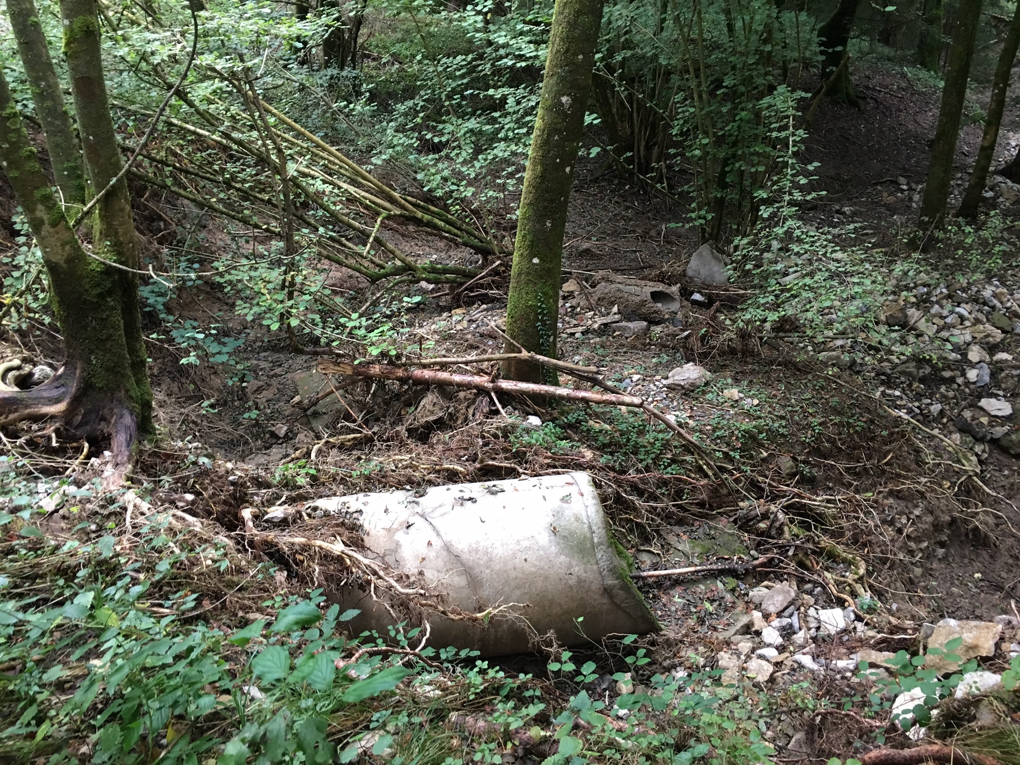 Die von Treut als "hinterspült und ausgerissen" kritisierten Rohre im "Großen Wald".