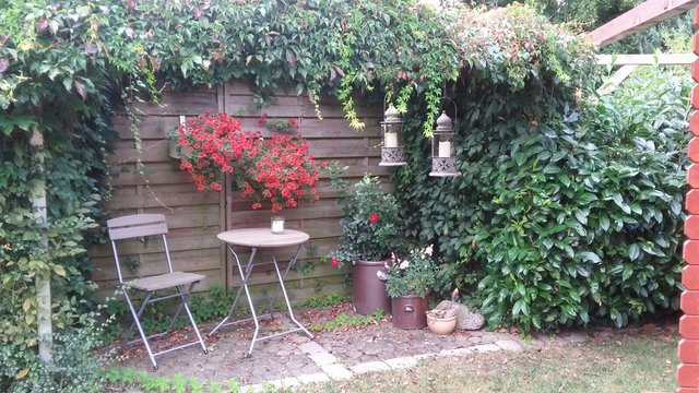 Platz 5 | Foto: Gisela Riffel