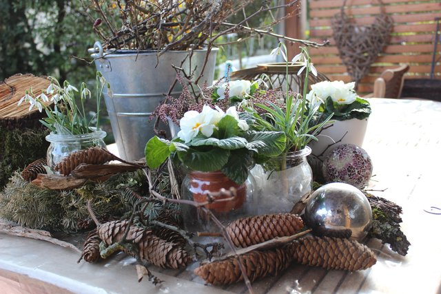 Platz 7 | Foto: Theresa Sailer