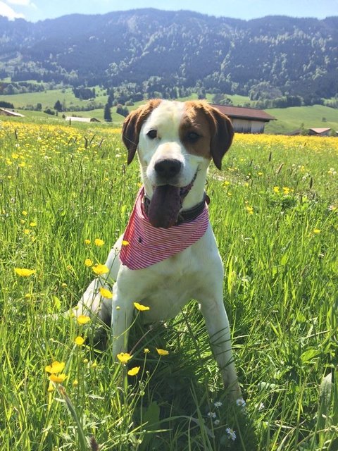 April im Sommerurlaub