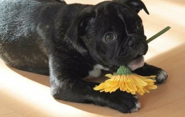 Ich warte auf den Frühling