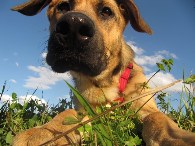 "Na du?" -Sammy, 5 Jahre