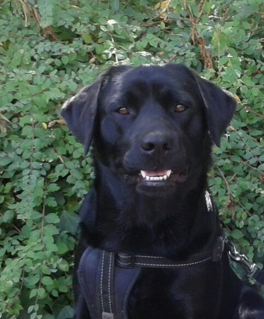 .... bin total aufmerksam ....