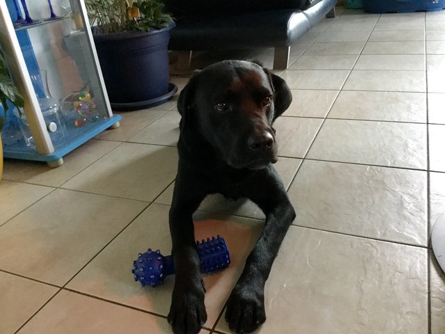 " Das ist mein Quitsche-Knochen......