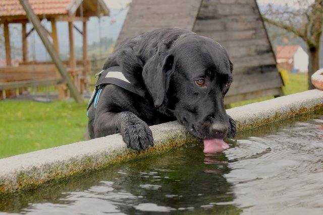Erfrischende Urlaubsgrüße von Winnie