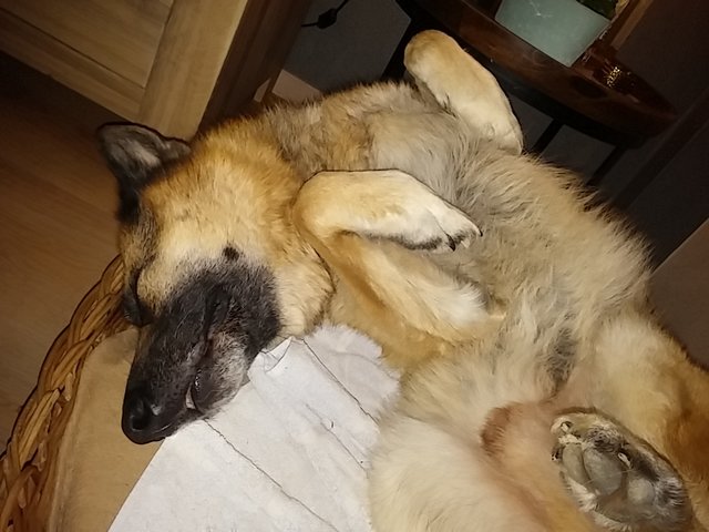 So schläft unser Maiky