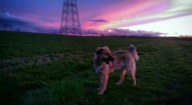 Lina "Bis die Wolken wieder lila sind"