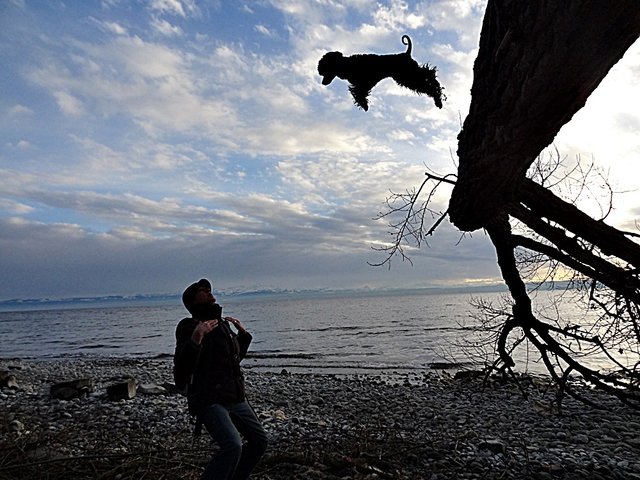 Der fliegende Pudel Chimanski
