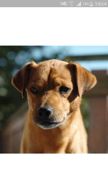 Der kleine Derrick auf dem Balkon!
