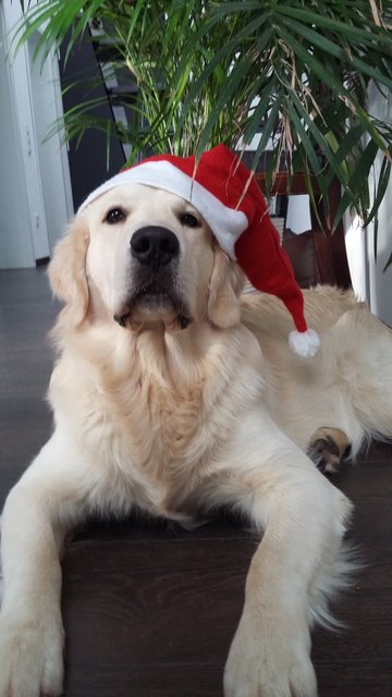 unser Weihnachstmann