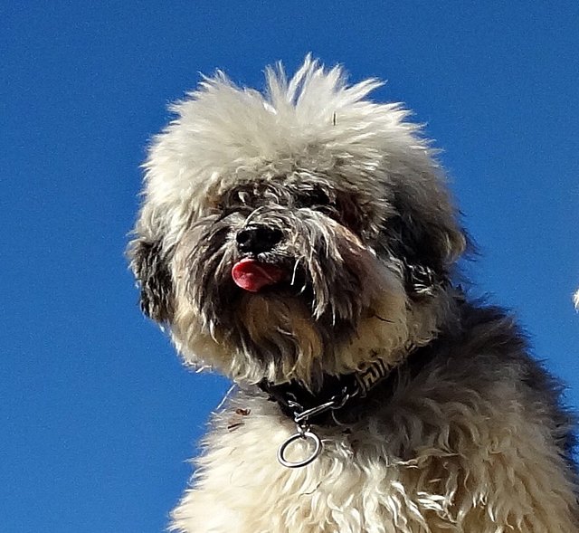 Was ich nicht alles kann....