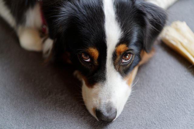 was will er denn jetzt?