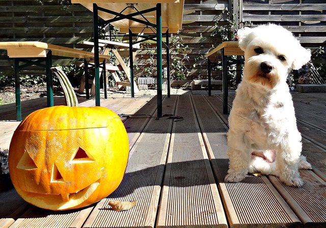 Ich finde, der ist mir gut gelungen....