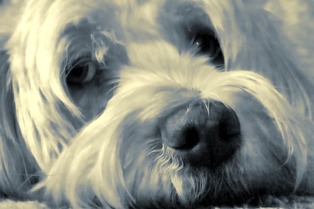 ...nun lös schon aus!