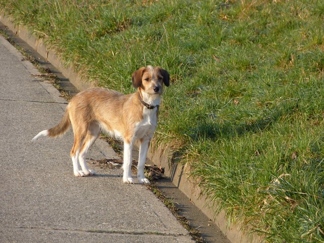 Ich bin Lottchen eine total verspielte MixMixMixDame