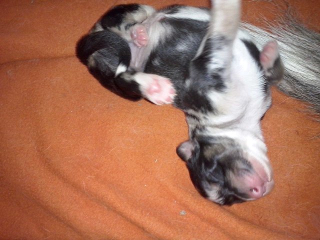 Das Leben ist cool! Lagsi 6 Tage alt