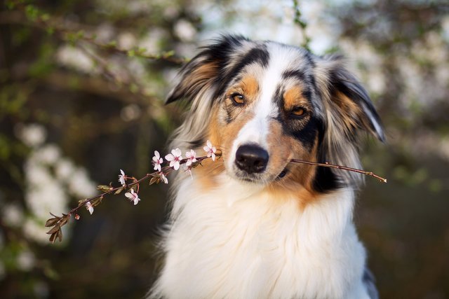Marlen Mansfeld und ihre treue Begleiterin "Lissy"