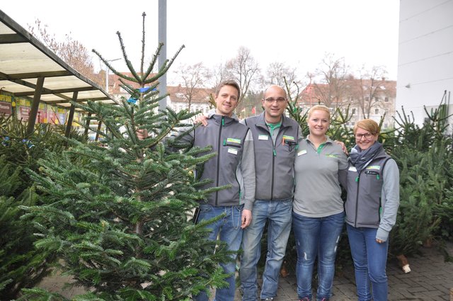 Für die Weihnachtszeit halten Marktleiter Arne Meyll und sein Team die schönsten Christbäume bereit – alles gut gewachsene Nordmanntannen in den Größen 1 bis 2,50 Meter. Für die Weihnachtsbäckerei gibt es eine große Auswahl an Backzutaten mit passendem Zubehör. Auf der Suche nach Geschenken wird man im großen regionalen Wein- und Lebensmittelsortiment oder bei den fertig gepackten Geschenkkörben fündig. Und auch für die gefiederten Gäste findet man lustiges Wintervogelfutter, zum Beispiel in Schneemannform. | Foto: ch