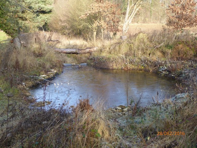 Der Teich im späten Dezember 2016. | Foto: NABU  Bretten